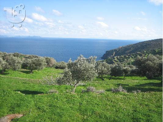 Ευκαιρια στην Σίφνο